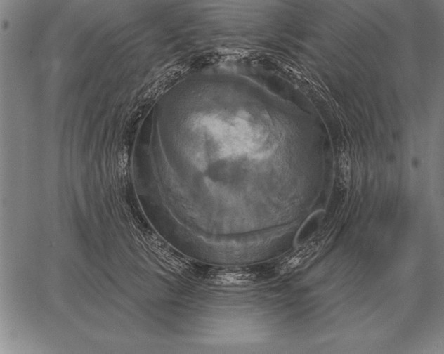 X0000067350657200604131752