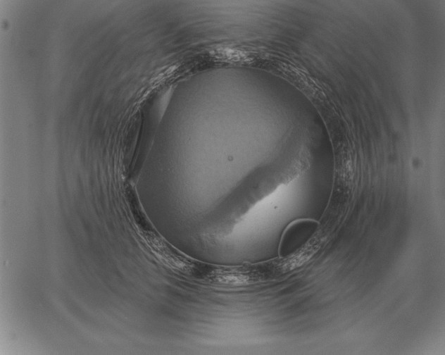 X0000067350658200604131752