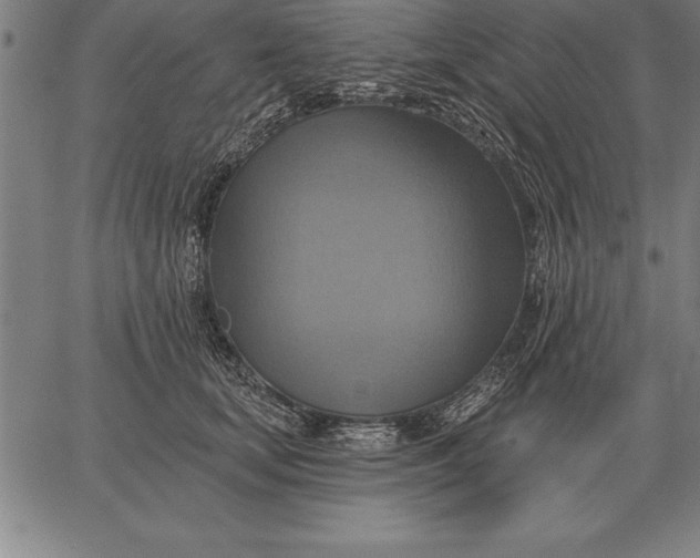 X0000067350659200604131752