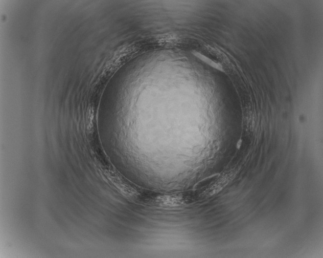 X0000067350660200604131752