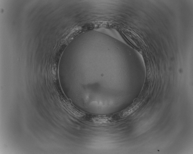 X0000067350661200604131752