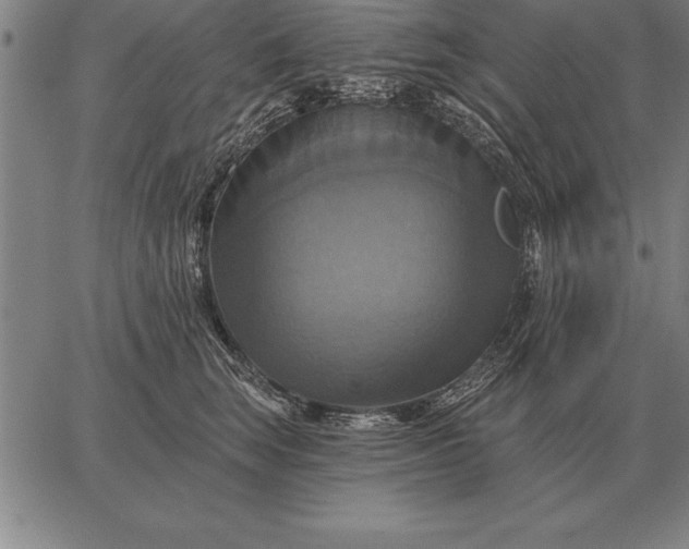 X0000067350663200604131752