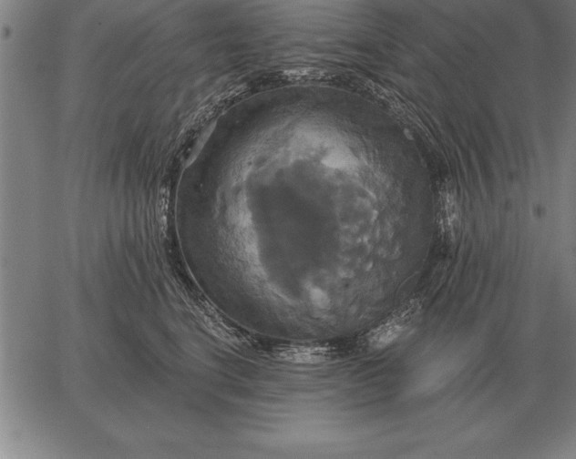 X0000067350664200604131752