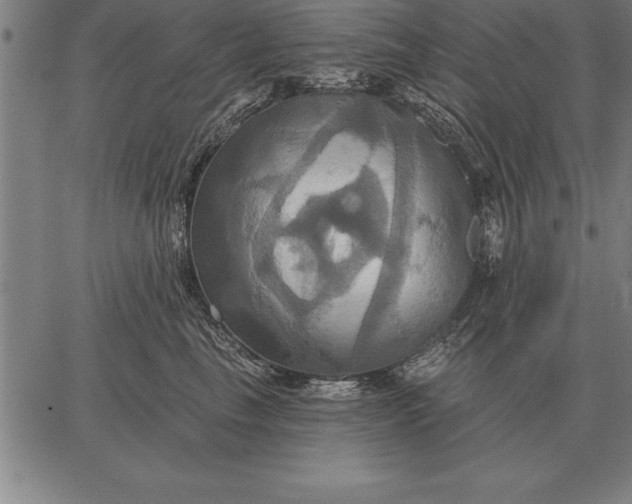 X0000067350665200604131752