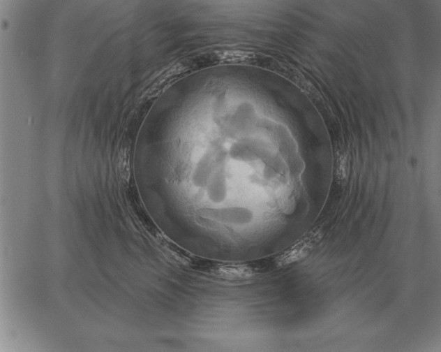 X0000067350666200604131752