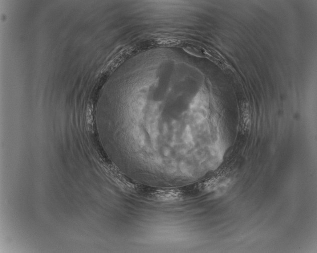 X0000067350667200604131752