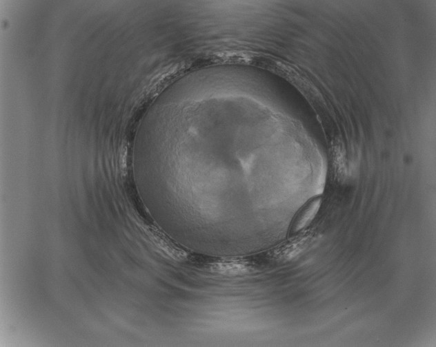 X0000067350668200604131752