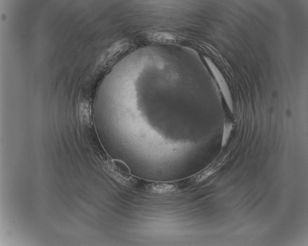 X0000067350669200604131752