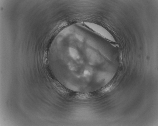 X0000067350671200604131752