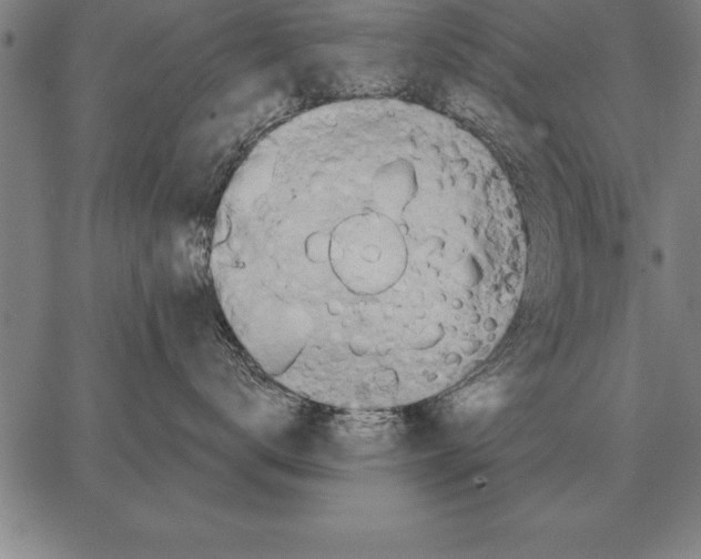 X0000067350672200604131752