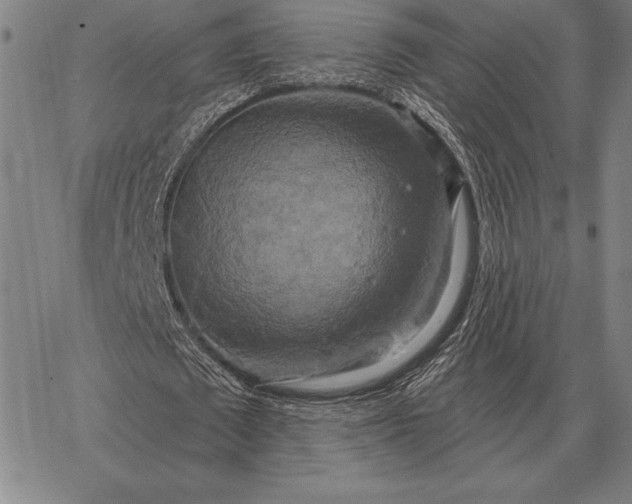 X0000067350673200604131751