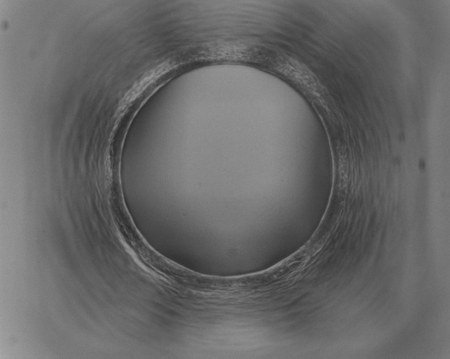 X0000067350674200604131751