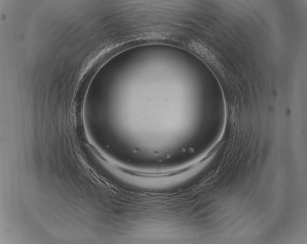 X0000067350676200604131751