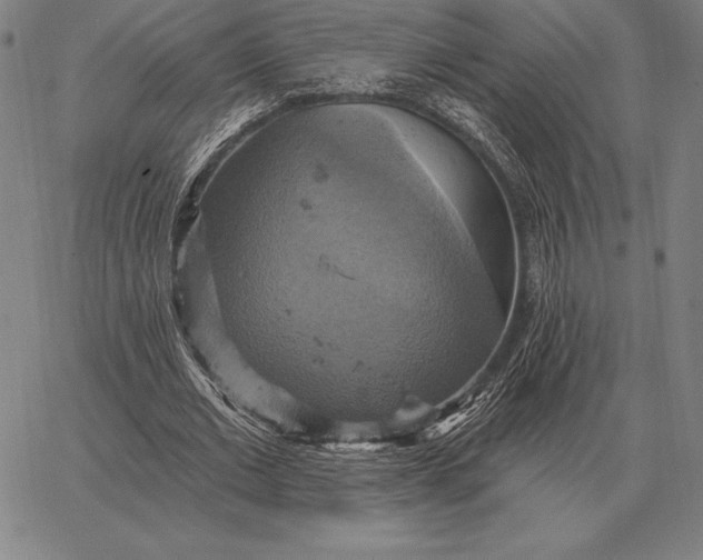 X0000067350677200604131751