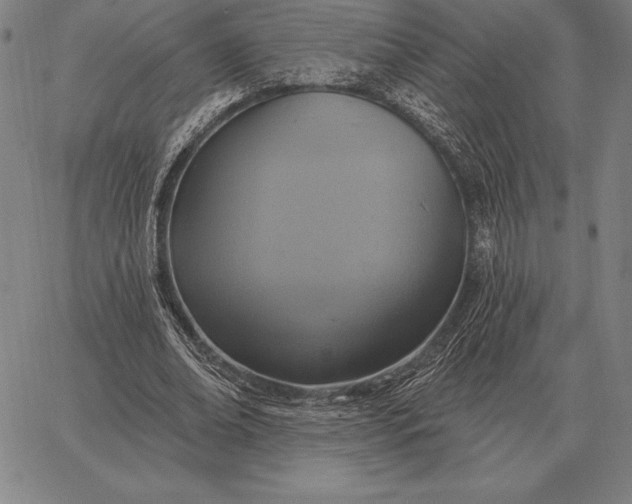 X0000067350678200604131751