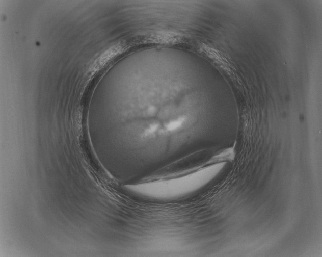 X0000067350679200604131751