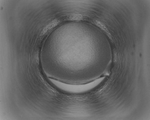 X0000067350681200604131751