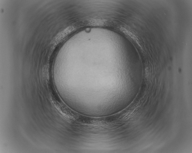 X0000067350682200604131751