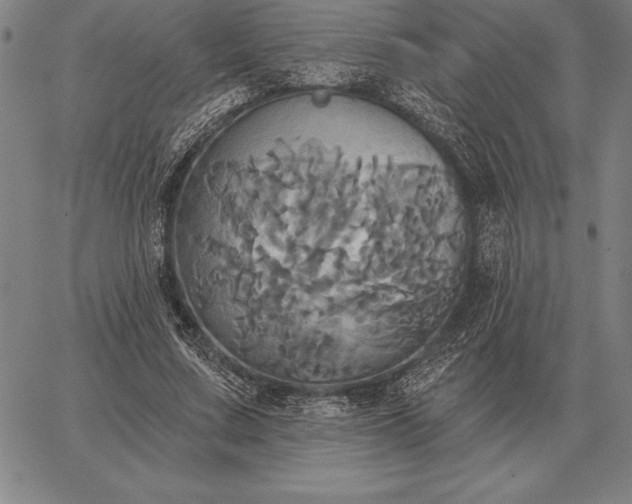 X0000067350683200604131751