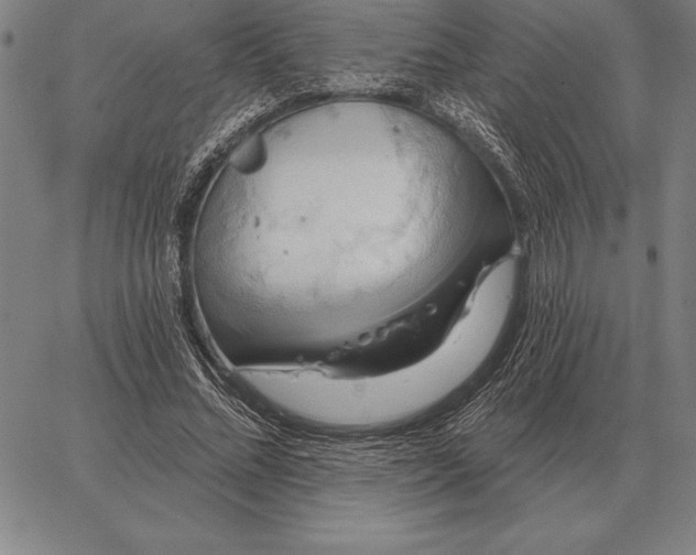 X0000067350684200604131751