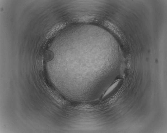 X0000067350685200604131751