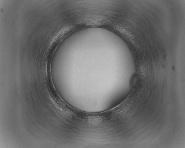 X0000067350686200604131751