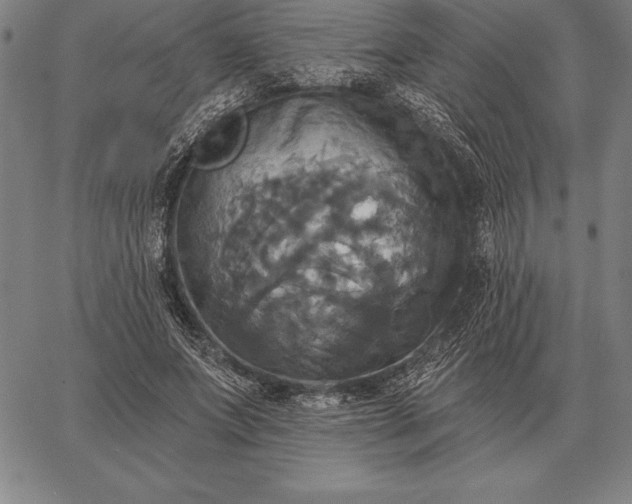 X0000067350687200604131751