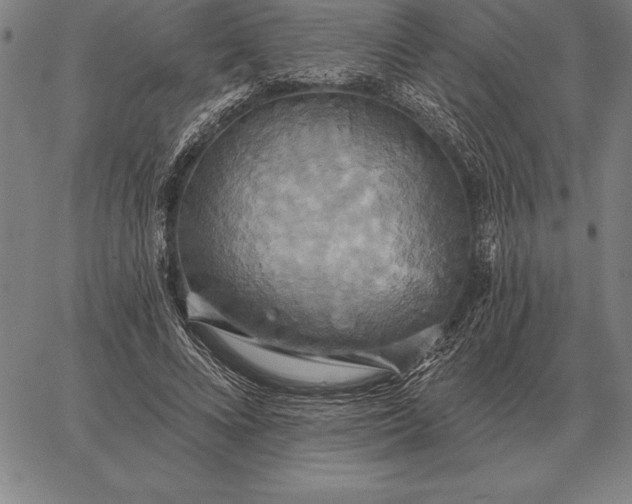 X0000067350688200604131751