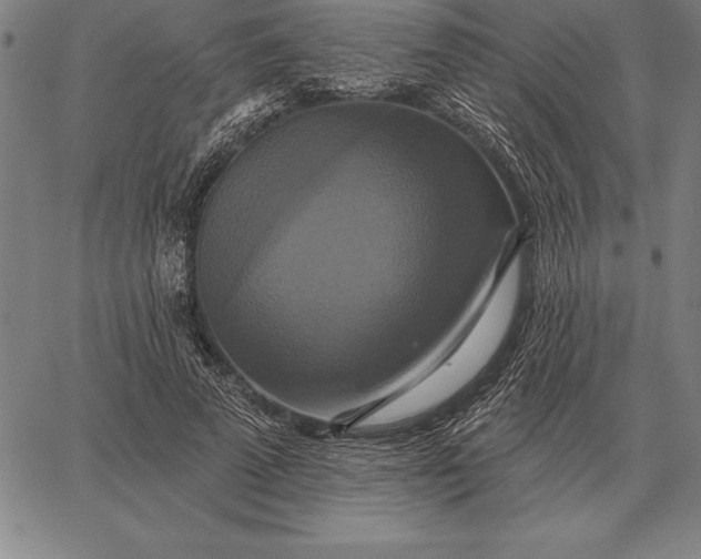 X0000067350689200604131751