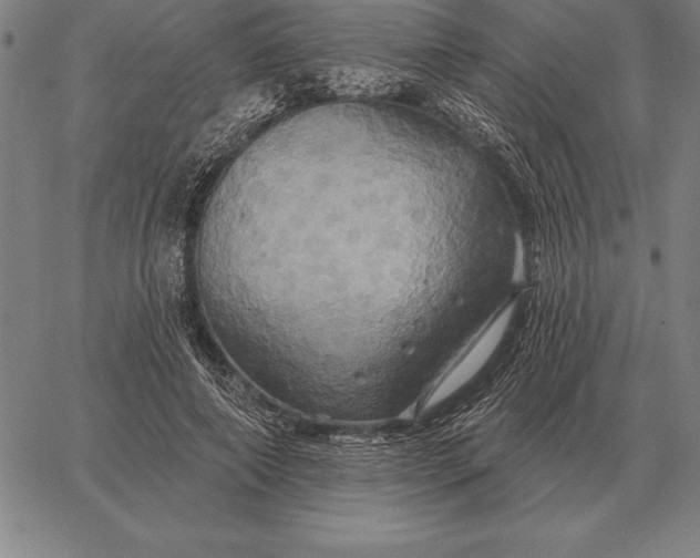 X0000067350690200604131751