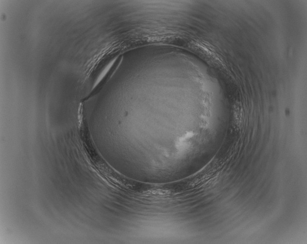 X0000067350691200604131751