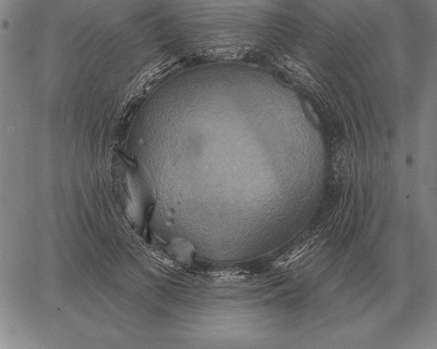 X0000067350693200604131751