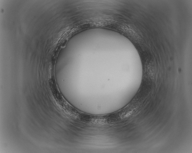 X0000067350694200604131751