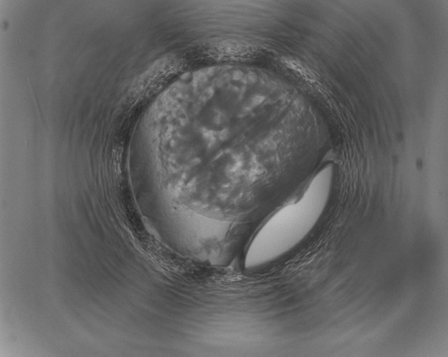 X0000067350695200604131751