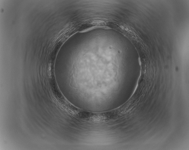 X0000067350696200604131751