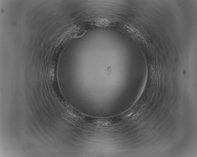 X0000067350697200604131751