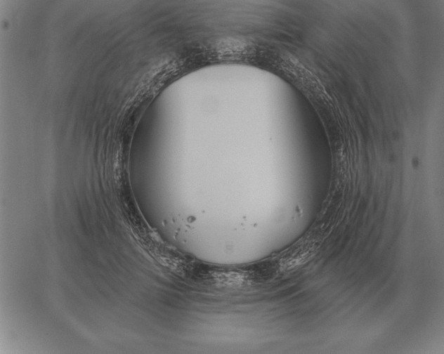 X0000067350698200604131751