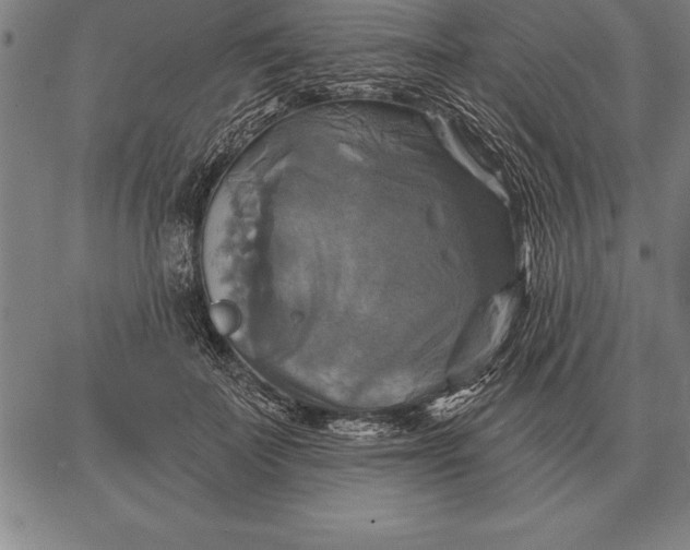 X0000067350699200604131751