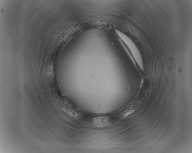 X0000067350700200604131751