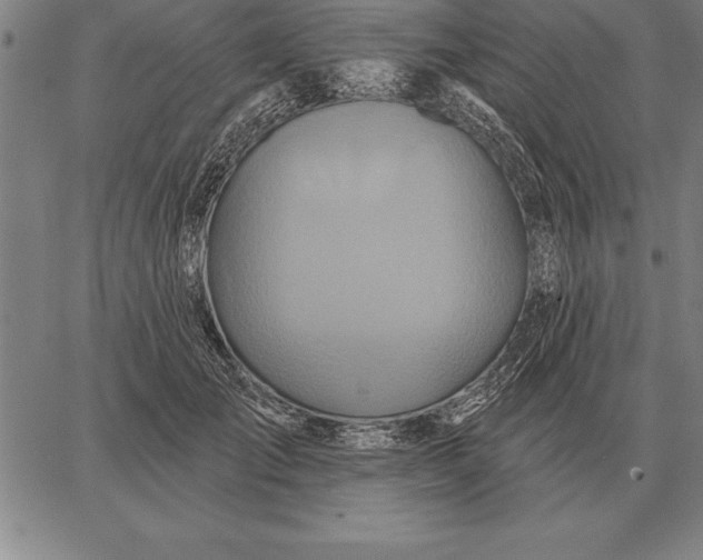 X0000067350701200604131751