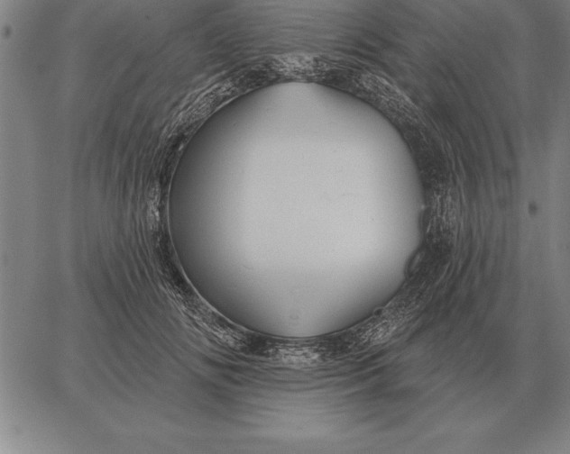 X0000067350702200604131751