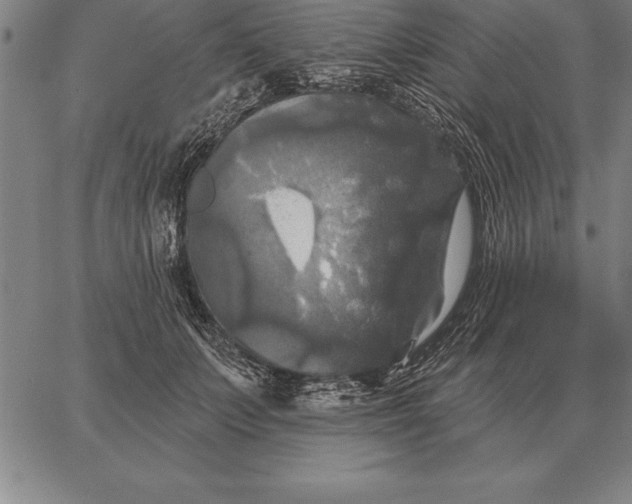 X0000067350703200604131751