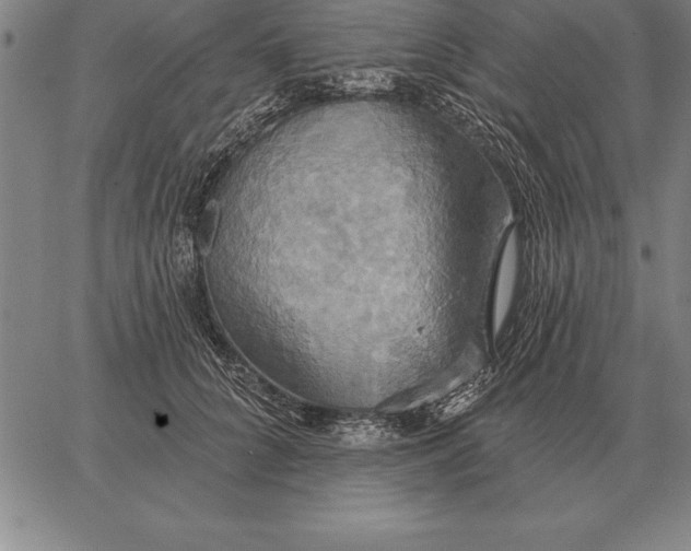 X0000067350704200604131751