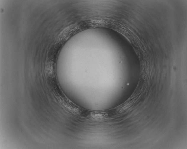 X0000067350706200604131751