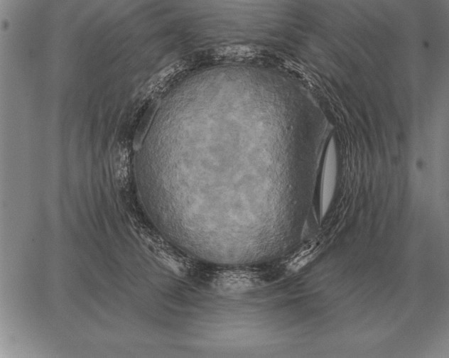 X0000067350708200604131751