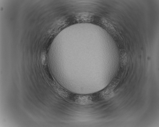 X0000067350709200604131751