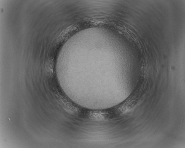 X0000067350710200604131751