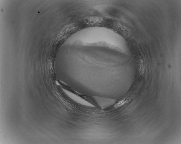 X0000067350711200604131751