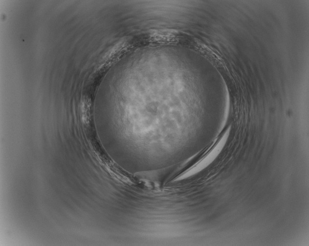 X0000067350712200604131751