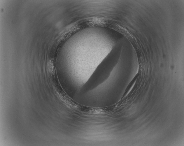 X0000067350715200604131751